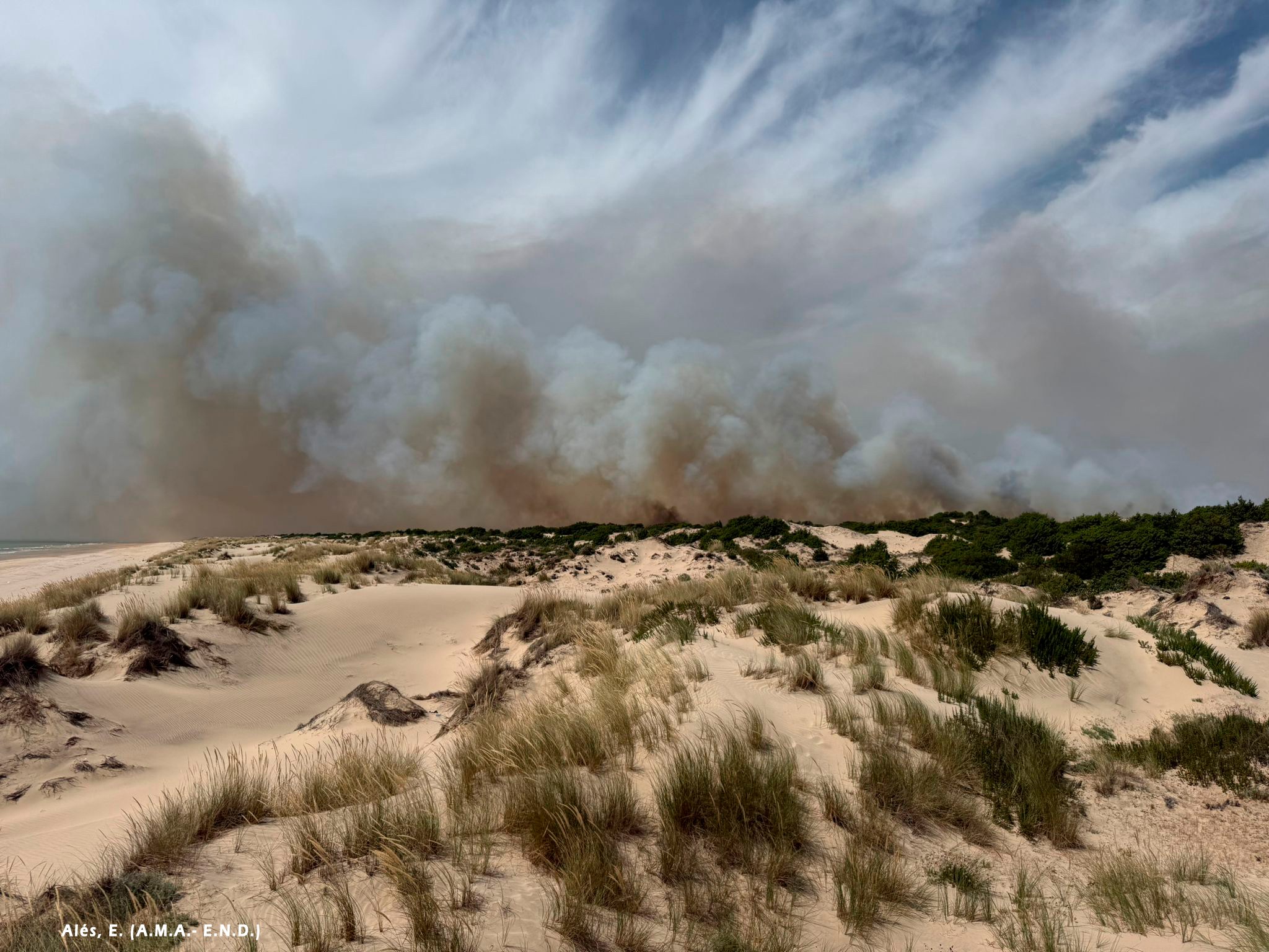 Un análisis preliminar estima que el incendio de Doñana ha afectado a unas 500 hectáreas