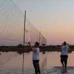Más de 1.700 aves de 25 especies diferentes, resultado de una década de estudio en Marismas del Odiel en Huelva