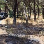 Detenido un hombre por provocar un incendio de rastrojos en Aljaraque