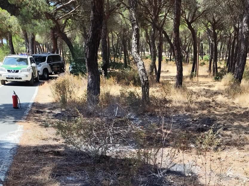 Detenido un hombre por provocar un incendio de rastrojos en Aljaraque