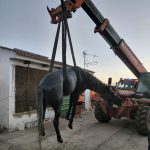Rescatado un caballo tras caer a una fosa séptica en Moguer