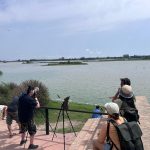 El Parque Nacional de Doñana y el oeste andaluz, protagonistas de la nueva edición de Spain is (Much) More 2026 de Turespaña