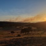 El incendio de Alosno afecta ya a unas 1.000 hectáreas y mantiene en vilo a la comarca