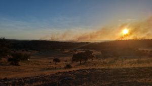El incendio de Alosno afecta ya a unas 1.000 hectáreas y mantiene en vilo a la comarca