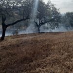 El incendio de Alosno se mantiene estabilizado mientras continúa el amplio dispositivo de vigilancia