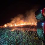 Incendio de pastos en Manzanilla provocado por fuegos artificiales de la feria