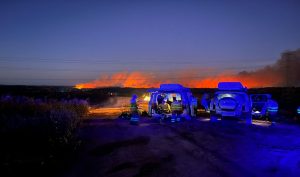 Los alcaldes de los municipios afectados por el incendio reclaman ayudas urgentes para agricultores y ganaderos