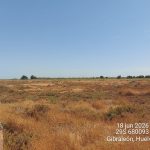El Infoca da por controlado un nuevo incendio declarado en las Marismas del Burro