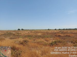 El Infoca da por controlado un nuevo incendio declarado en las Marismas del Burro