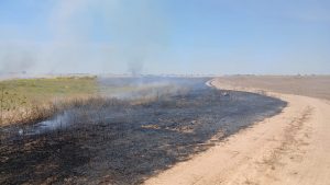 Huelva amanece con olor a quemado y una gran nube de humo