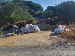 Denuncian a un hombre por verter escombros en una zona protegida del entorno de Doñana