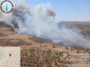 Un nuevo incendio forestal obliga a movilizar un amplio dispositivo en Alosno