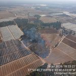 El Infoca estabiliza el incendio declarado en el paraje Los Vuelos de Lucena del Puerto
