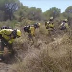 Controlado el incendio forestal en el paraje Camino de Tresmal de Moguer