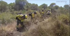 Controlado el incendio forestal en el paraje Camino de Tresmal de Moguer