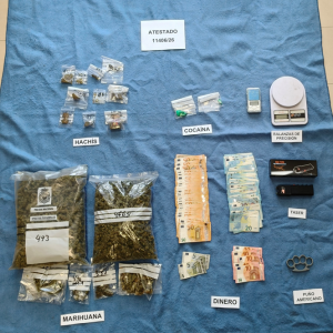 Desmantelada una plantación de marihuana en una vivienda con dos menores, uno de ellos lactante