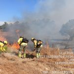 Declarado un incendio forestal en el paraje El Templo de La Palma del Condado