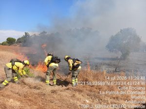 Declarado un incendio forestal en el paraje El Templo de La Palma del Condado