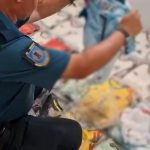 Desarticulado un punto de distribución de productos falsificados e intervenidos más de 2.600 artículos en la provincia de Huelva