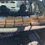 Liberan un mono tití protegido e intervienen 20 kilos de cocaína en la provincia de Huelva
