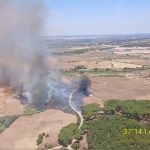 Declarado un incendio forestal en Rociana del Condado