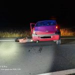Detenido tras huir de la Policía y circular a más de 170 km/h en sentido contrario por la A-49