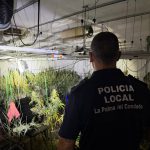 Un incendio destapa una plantación interior de marihuana con hasta 400 plantas