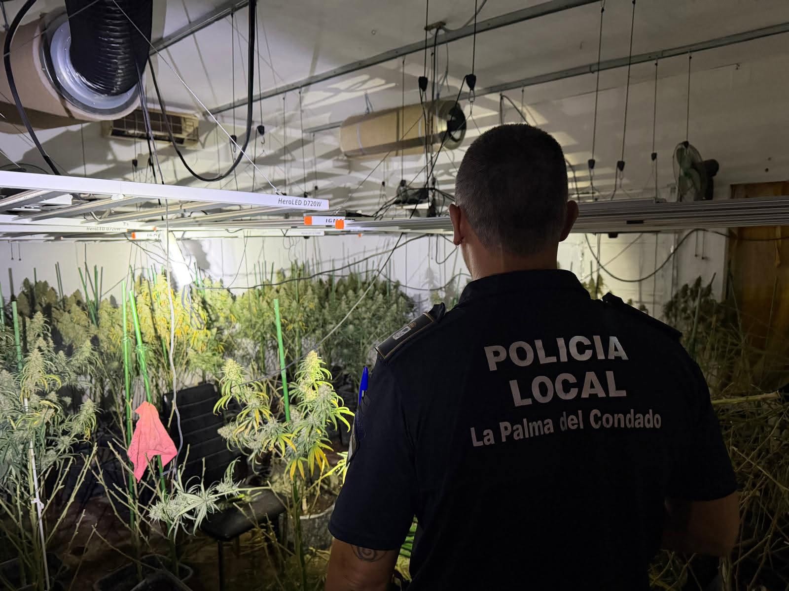 Un incendio destapa una plantación interior de marihuana con hasta 400 plantas
