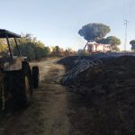 Los bomberos intervienen en un incendio forestal declarado en Bonares