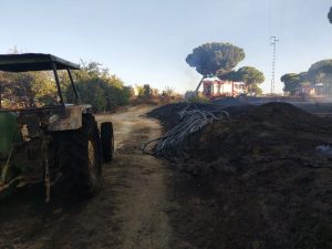 Los bomberos intervienen en un incendio forestal declarado en Bonares