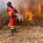 La UME se muestra optimista ante la evolución del incendio de Niebla, aunque ya afecta a más de 31.000 hectáreas