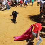 La tradición centenaria renovada protagoniza ochos días de capeas y programación lúdica y musical en Trigueros 