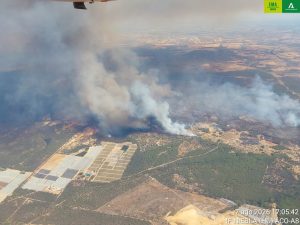 Voluntarios se movilizan para llevar agua y alimento a los animales afectados por el incendio de Niebla