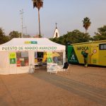 El incendio en Niebla continúa activo con 70 personas en alejamiento preventivo y más de 270 efectivos