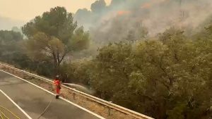 El Gobierno refuerza el operativo contra el incendio de Niebla con más de 500 efectivos