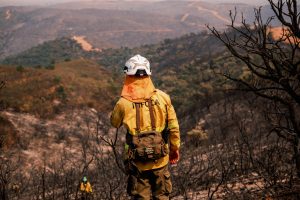 El incendio de Niebla se da por estabilizado y los evacuados pueden regresar a sus hogares