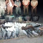 Investigados cuatro furtivos por pesca ilegal en el Parque Nacional de Doñana