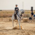 Villarrasa celebra el primer Concurso de Doma Vaquera puntuable para la Copa de Andalucía