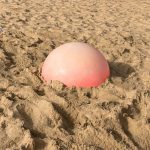 Auxiliado un menor tras un grave accidente en la playa de Torre del Loro