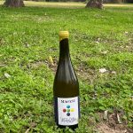 Bodegas Magasé reivindica la Listán del Condado con un vino único y solo 550 botellas
