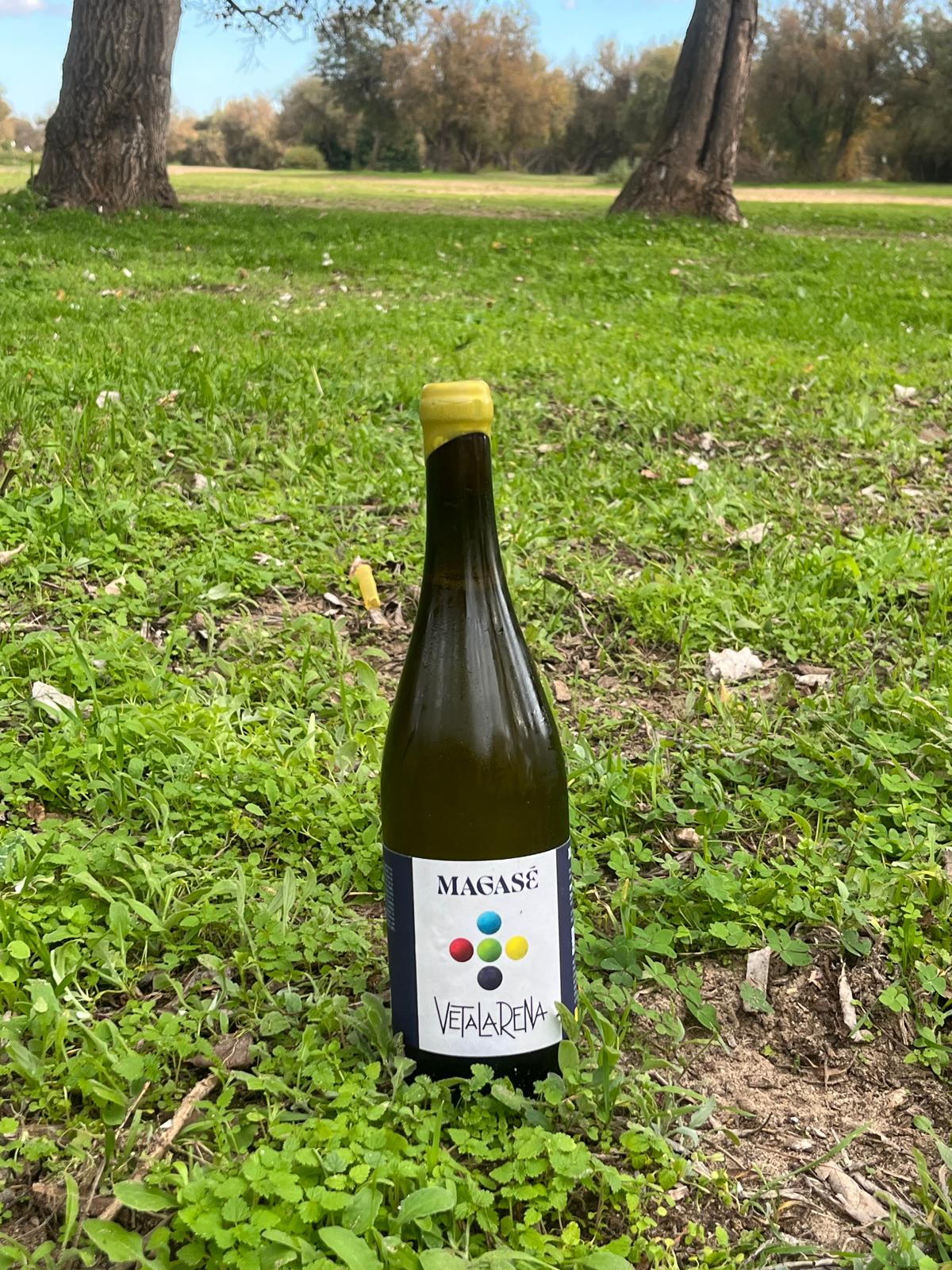 Bodegas Magasé reivindica la Listán del Condado con un vino único y solo 550 botellas