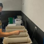 Intervenidos más de 80 kilos de productos pesqueros son trazabilidad en La Redondela