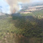 Nuevo incendio forestal en Lucena del Puerto, el quinto en apenas 15 días