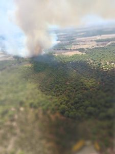 Nuevo incendio forestal en Lucena del Puerto, el quinto en apenas 15 días