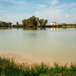 El Gobierno establece nuevas ayudas que permitirán líneas de apoyo al cultivo de secano en Doñana
