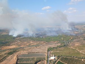 Un incendio forestal en Ayamonte obliga a activar el Plan de Emergencia Municipal y cortar la A-499