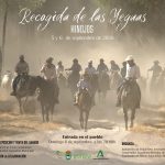 Más de 400 equinos cruzarán Doñana en la Recogida de las Yeguas de Hinojos