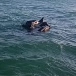 Rescatan a dos personas tras quedar a la deriva en una neumática que terminó hundiéndose frente a Doñana