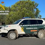 Reducido un peligroso y reincidente delincuente en Rociana del Condado