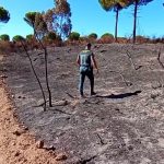 Investigan a una persona por el incendio forestal de Beas
